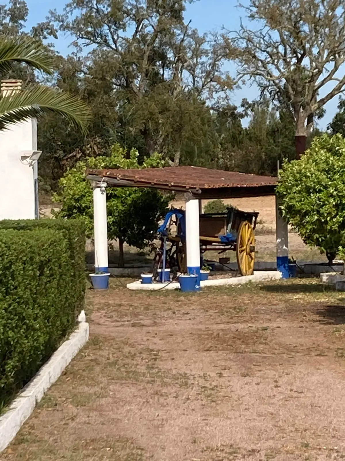 Monte Ninho das Perdizes - Áreas Exteriores e Comuns - foto 17
