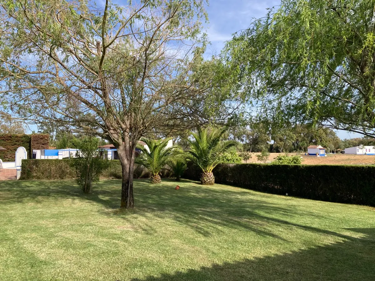 Monte Ninho das Perdizes - Áreas Exteriores e Comuns - foto 24