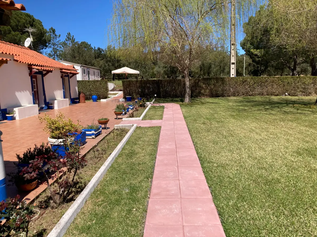 Monte Ninho das Perdizes - Quarto Estilo Inglês - foto 8